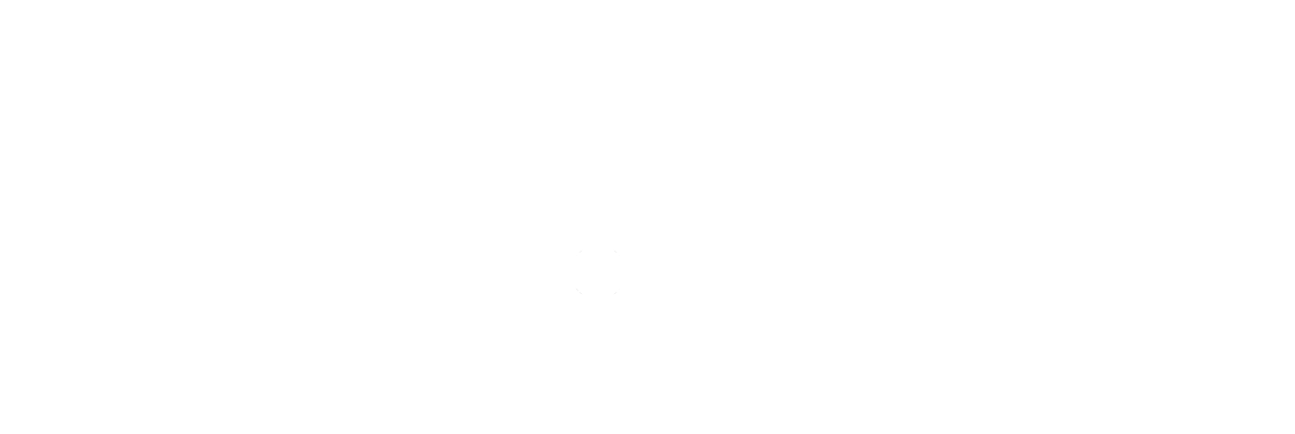 logo-fsp-02